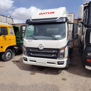 دایون ۱۰/۱۰۰